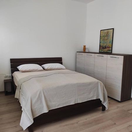 Studio Apartman Dani Banja Koviljaca Exterior photo